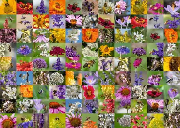 Puzzle 1000 Teile - 99 Bienen