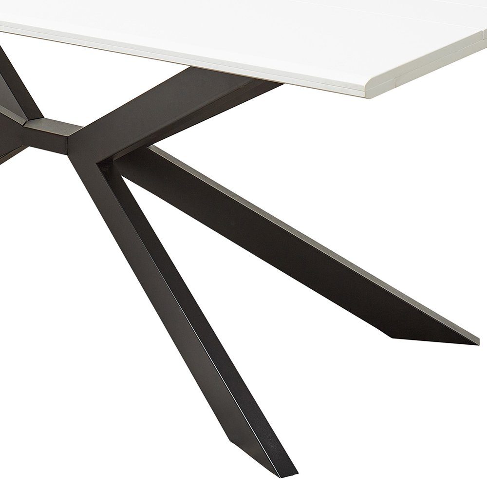 Lomadox Esszimmer-Set FALLON-55, (Spar-Set, 2-St), Tisch mit Spider-Fußgestell, 210x100cm, weiß mit Eiche