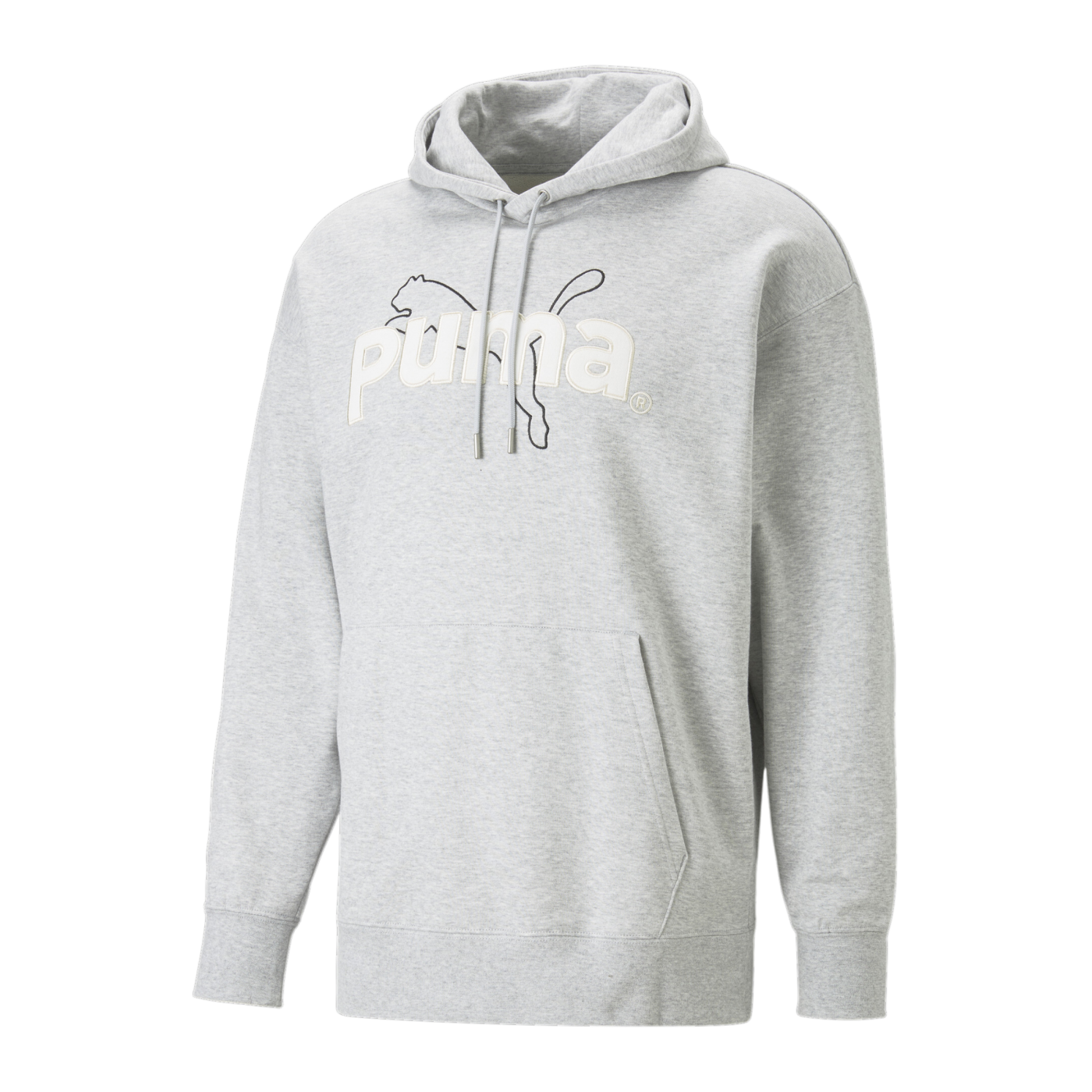 PUMA TEAM Graphic Hoody Grau F04