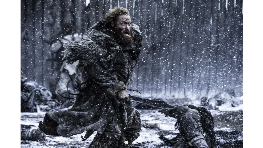 Game of Thrones - Staffel 5  [5 DVDs]