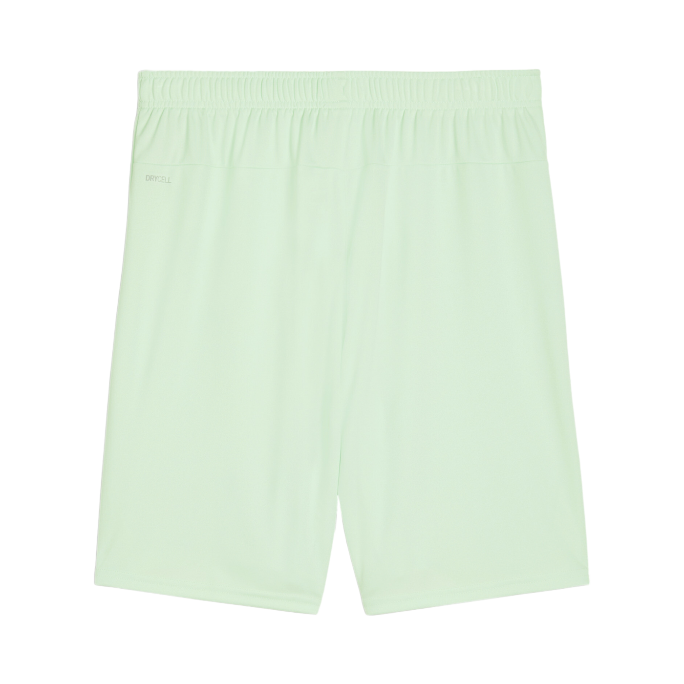 PUMA teamGOAL Short Grün Schwarz F60