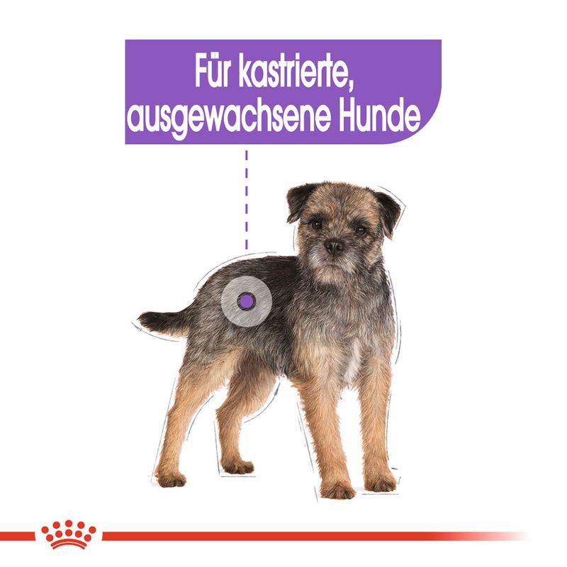 Royal Canin Mini Sterilised
