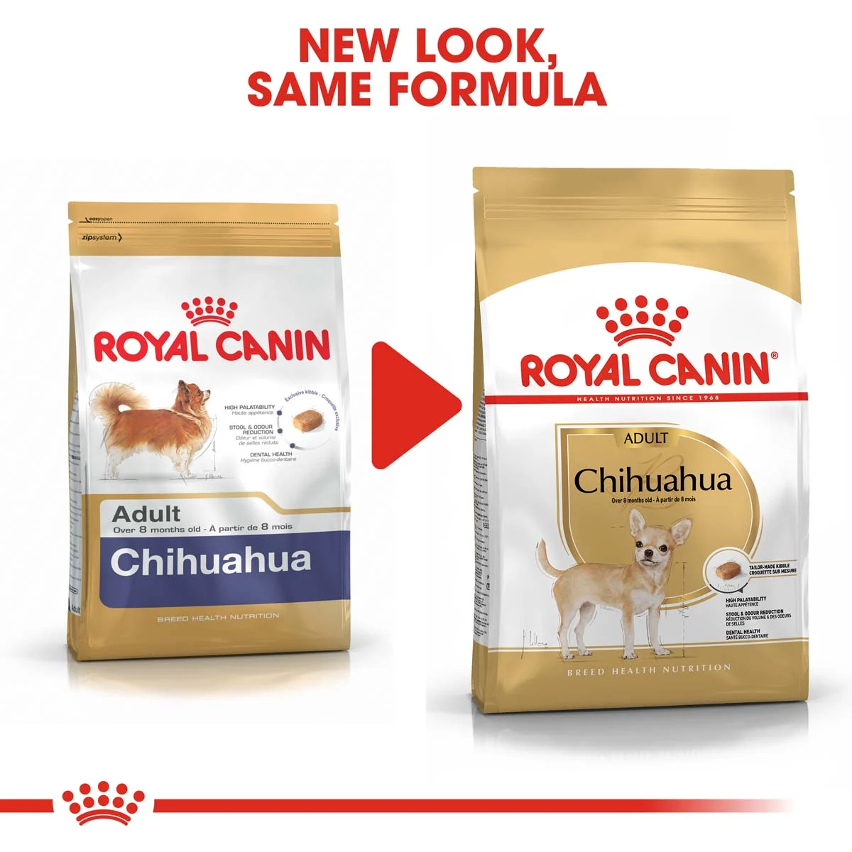 ROYAL CANIN Chihuahua Adult Hundefutter trocken bei ZooRoyal