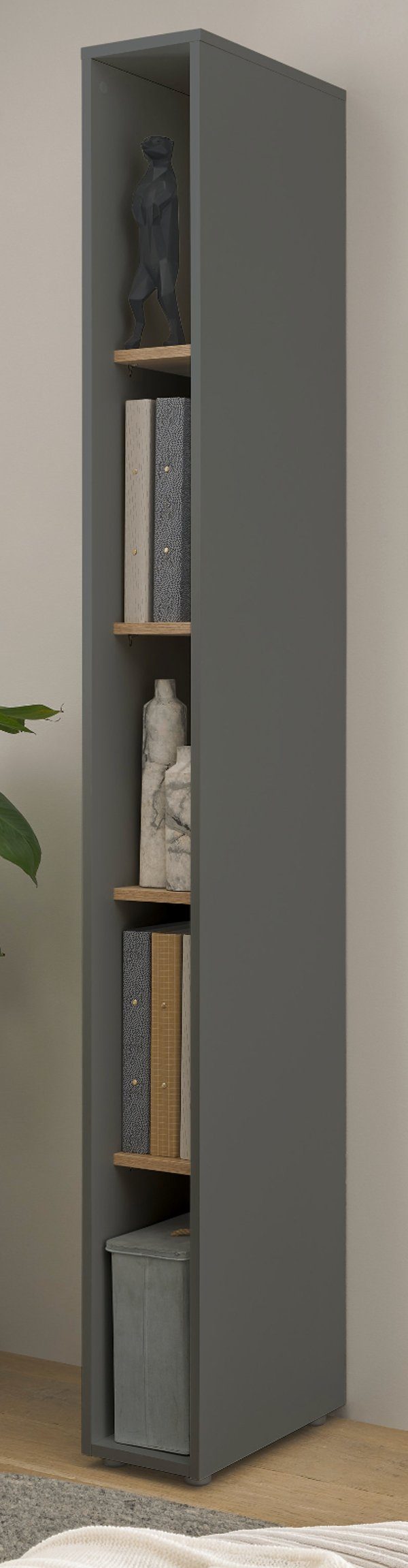 Furn.Design Aktenregal Center, Regalschrank in matt grau mit Wotan Eiche, 5 Fächer