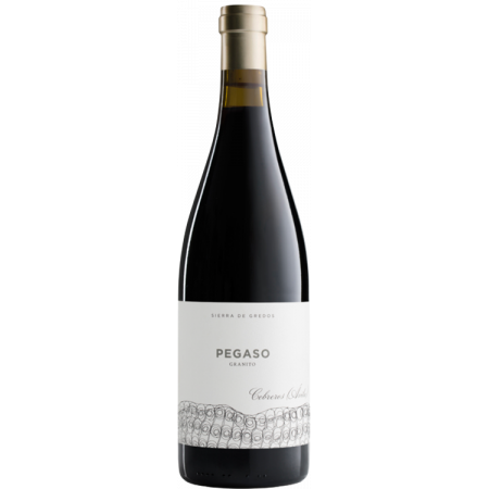 GRANITO 2020 - PEGASO - TELMO RODRIGUEZ