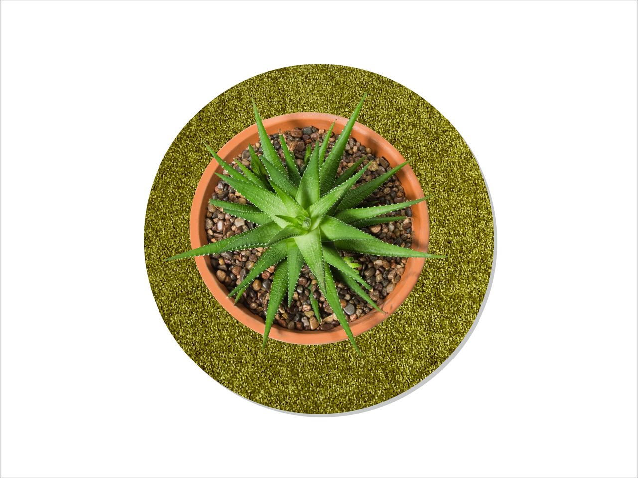 Keilbach Designprodukte Keilbach Blumentopf Unterlage, ⌀ 40,0 cm, grün