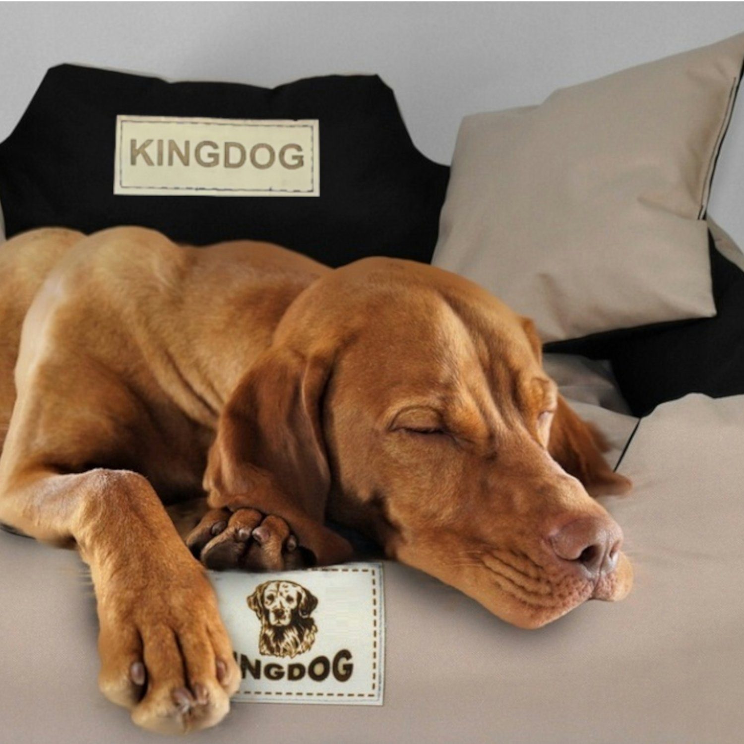 King Dog Tierbett 8AB, Hundebett Katzenbett 100x75 cm viele Farben Größe L