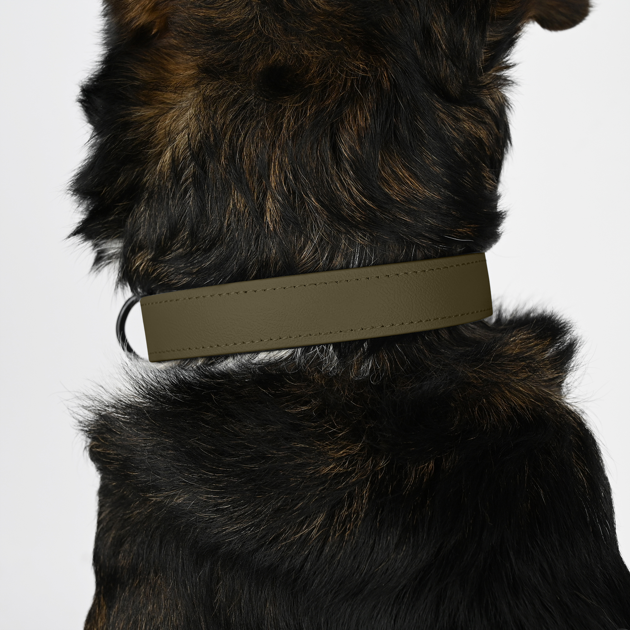 THE DOG IDEA Hundehalsbänder THE DOG IDEA Biothane Halsband Khaki neon orange L