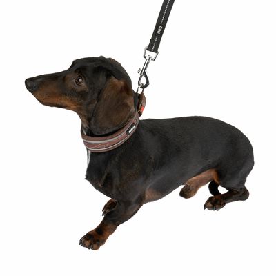 TIAKI Halsband Soft & Safe, braun
