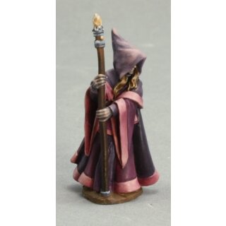 Anirion, Wood Elf Wizard (REA03491)