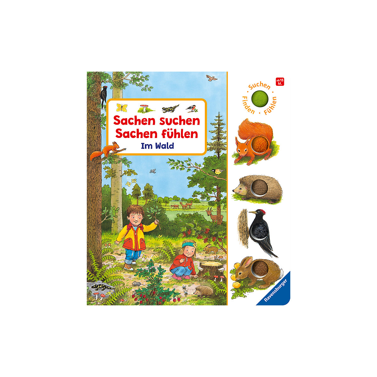 Sachen suchen, Sachen fühlen: Im Wald
