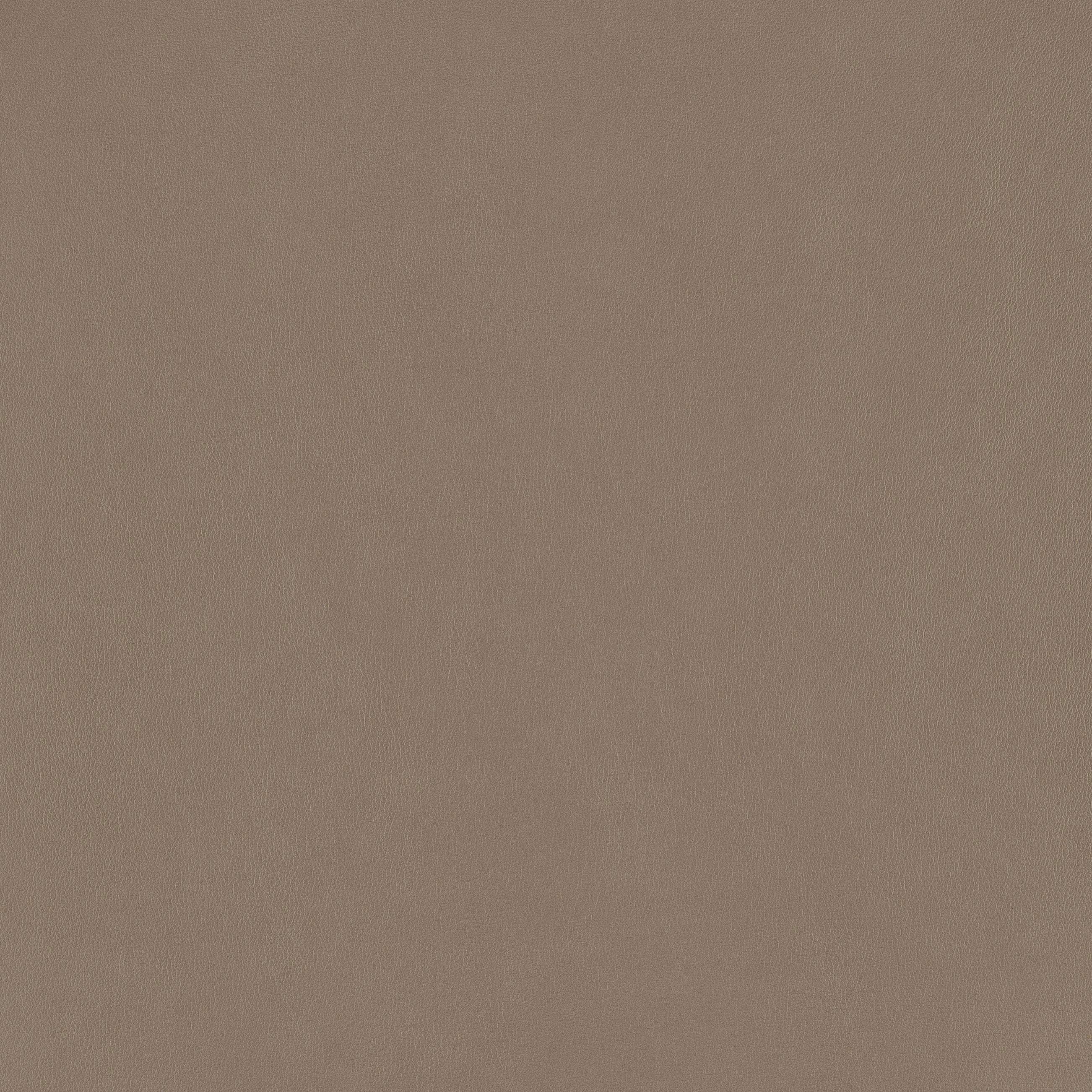 W.SCHILLIG Polsterstuhl jakob, mit Drahtrohrgestell in Chrom glänzend