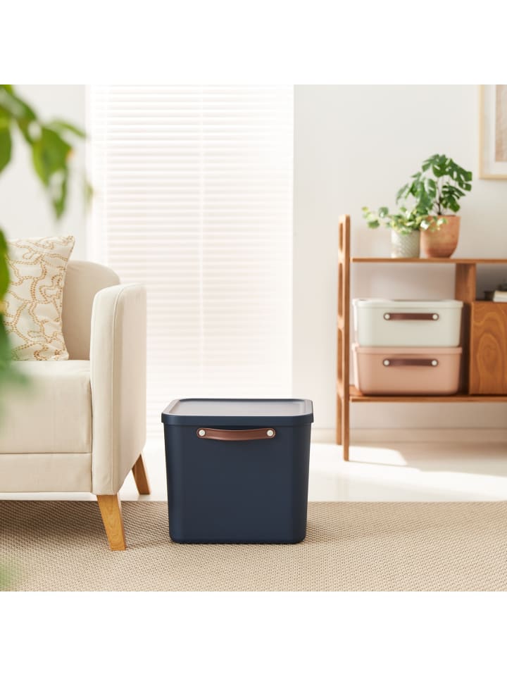 Rotho Aufbewahrungsbox mit Deckel 40 l MALOJA in Midnight blau günstig kaufen onesize