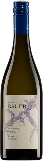 2022 Ried Goldberg Riesling trocken Bio - Weingut Familie Bauer