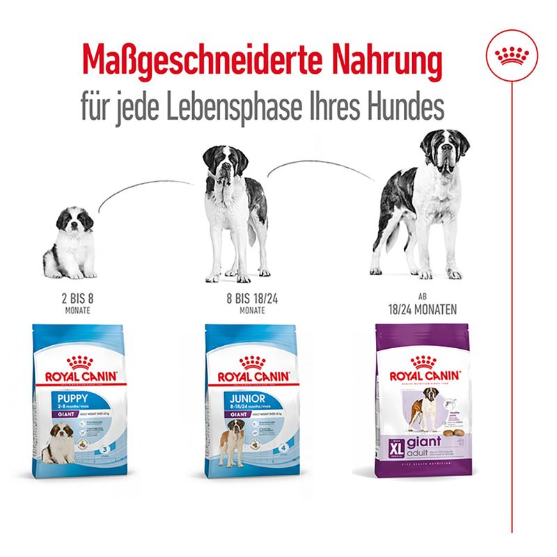Royal Canin Giant Adult