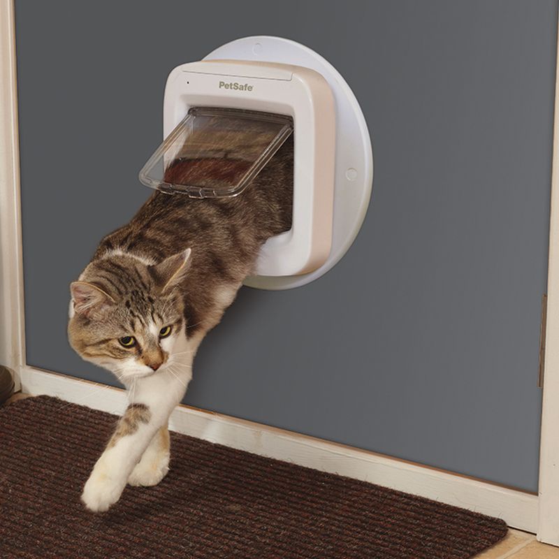 PetSafe Microchip Katzenklappe zu TOP-Preisen