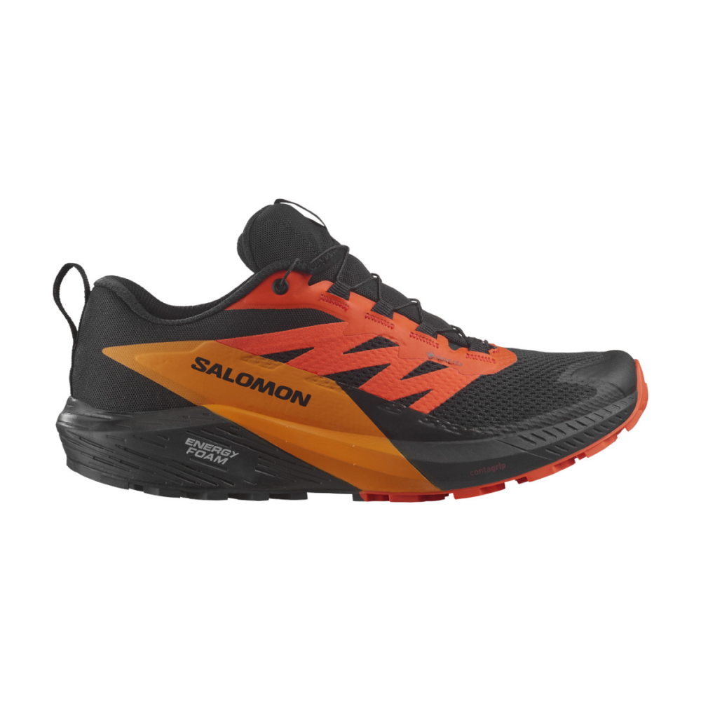 Salomon SENSE RIDE 5 GTX L47147300 / schwarz