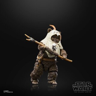 Star Wars Episode VI 40th Anniversary Black Series Actionfigur: Paploo