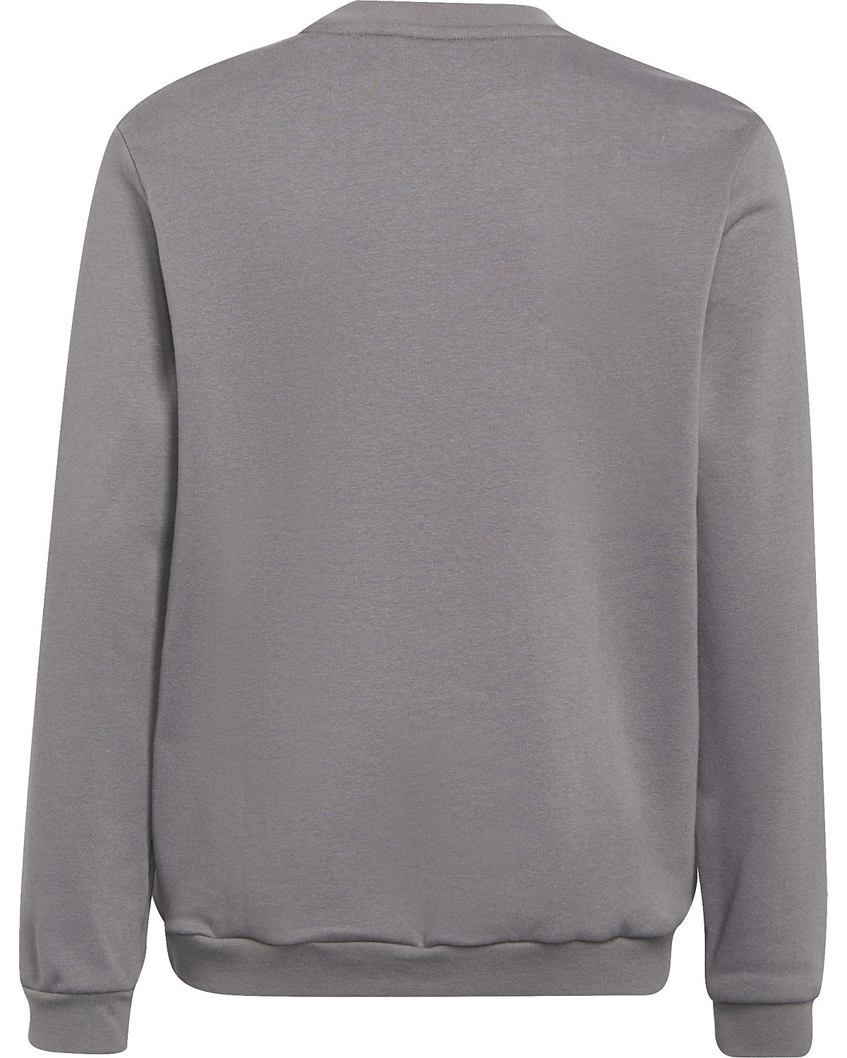 Sweatshirt ENT22 SW TOPY für Jungen