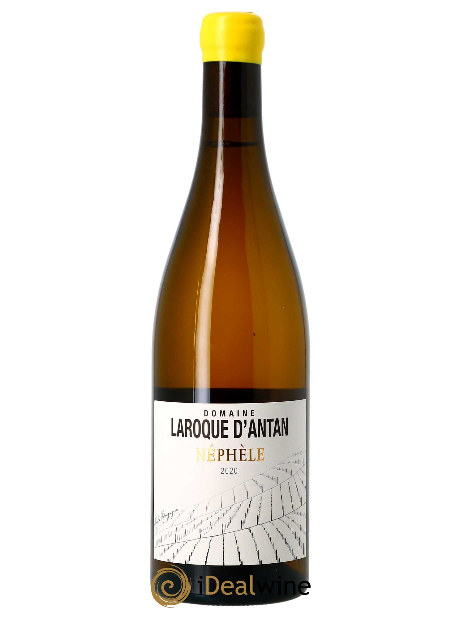 Côte du Lot Néphèle Laroque d'Antan (Domaine)  2020 - Lot de 1 Bouteille