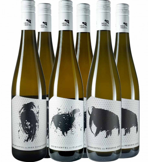 Seidl am Dach Grüner Veltliner Paket - Weingut Seidl am Dach