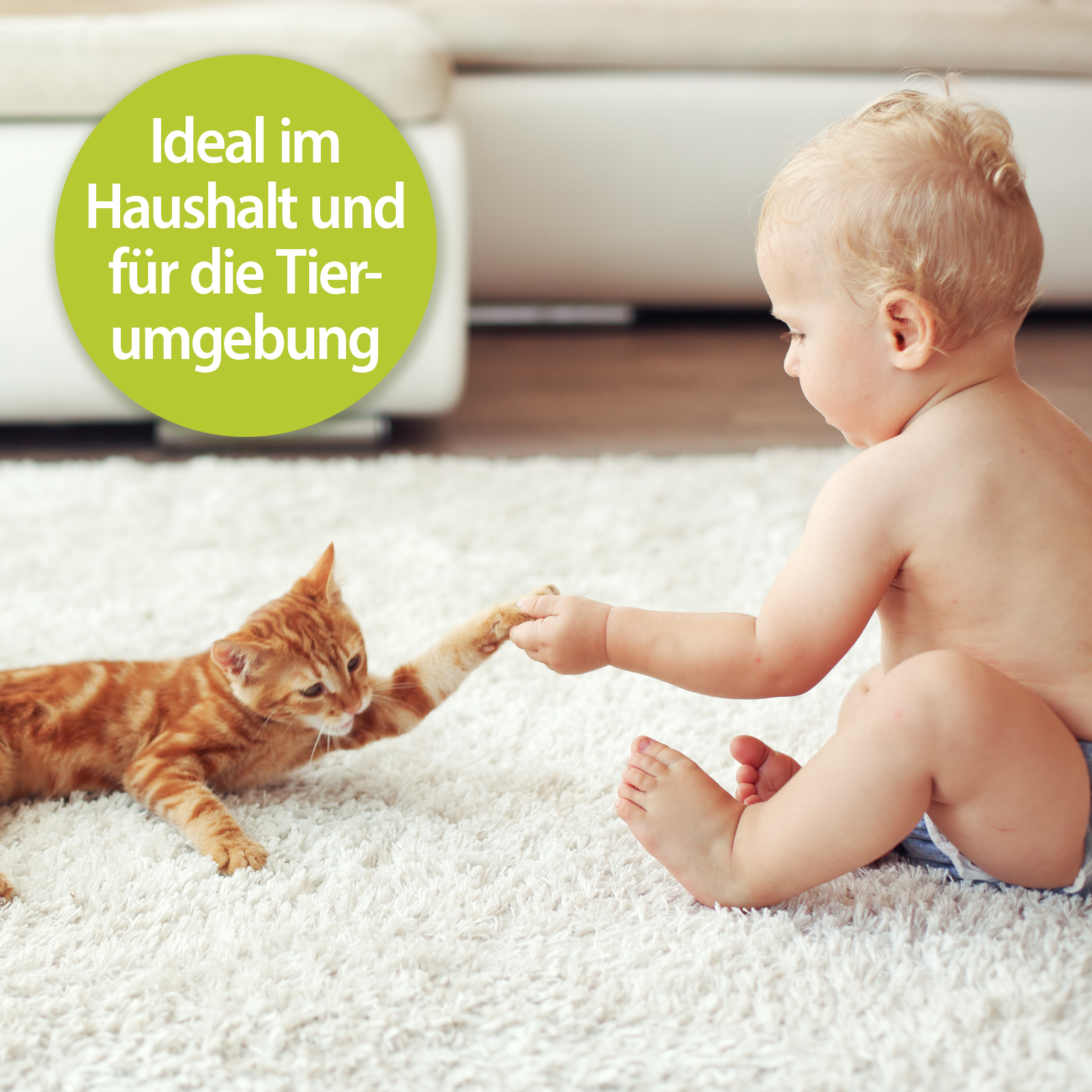 Bactador Reinigungsmittel & -geräte Bactador Geruchs- und Fleckenentferner Spray 100 ml