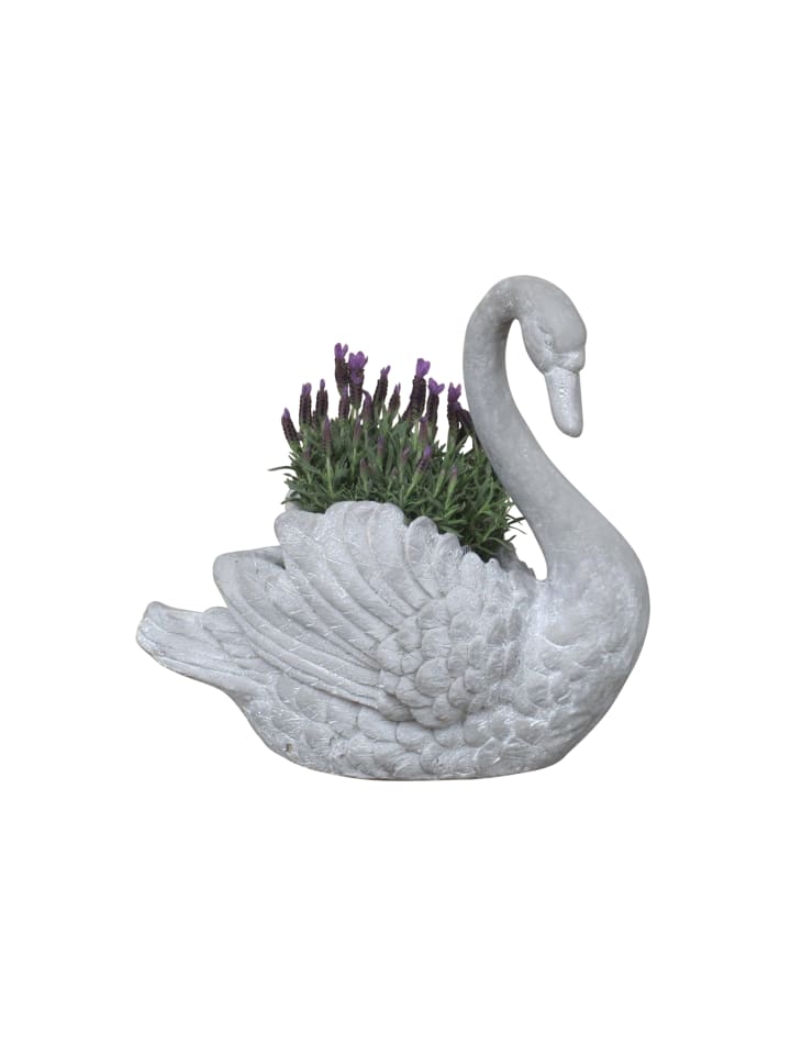 möbel-direkt Pflanzgefäß Schwan in grau günstig kaufen 1 Stück