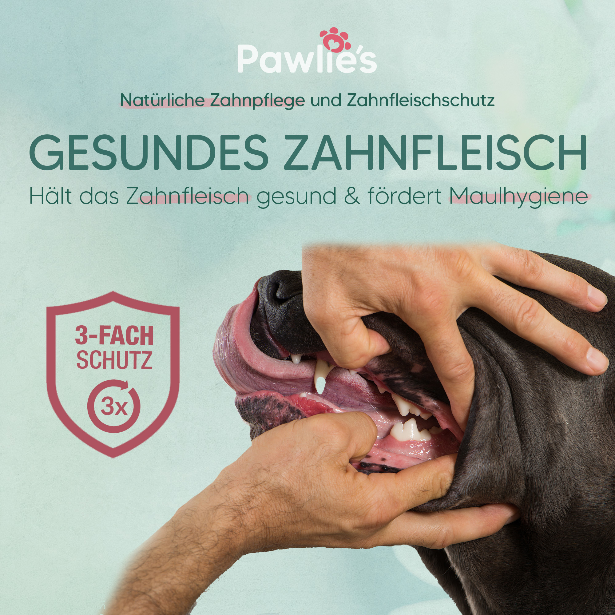 Pawlie's Zahnpflege Pawlie's Dentalspray Zahnpflege