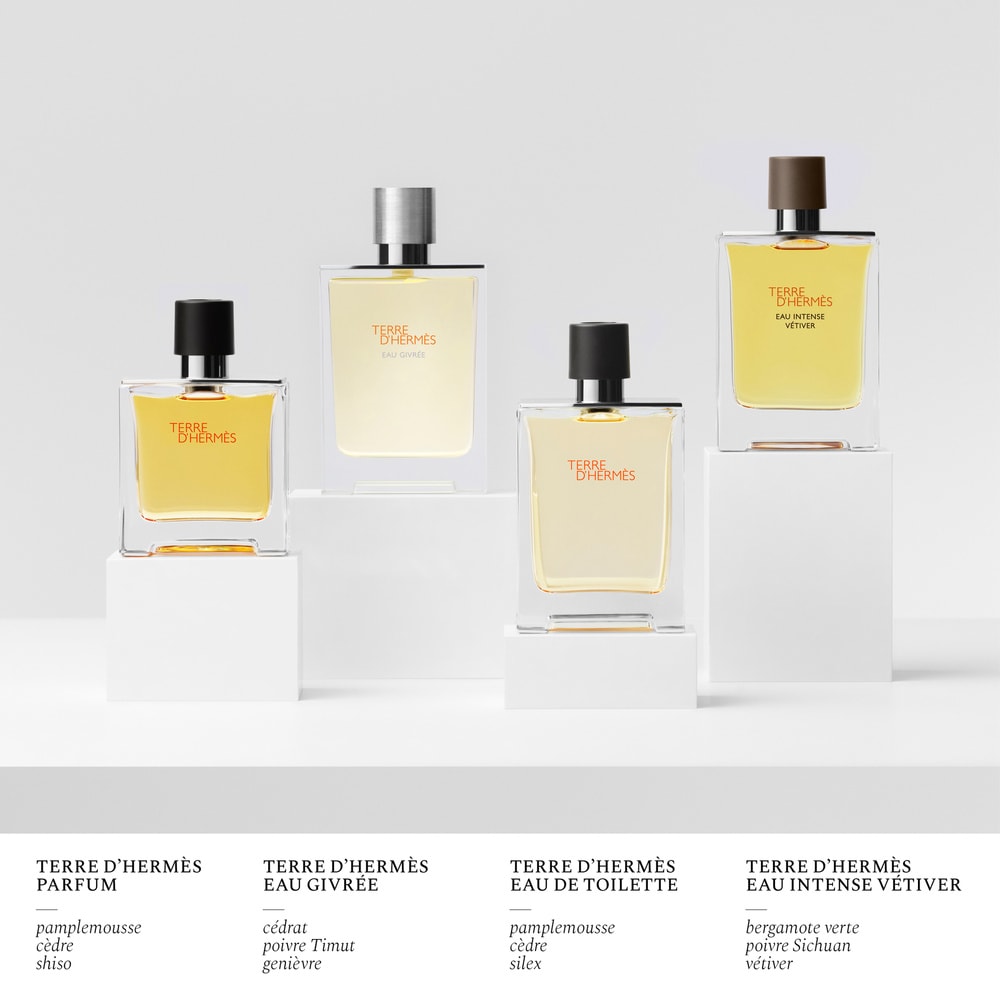 HERMÈS Terre d'Hermès Eau Givrée, Recharge Parfum Parfum