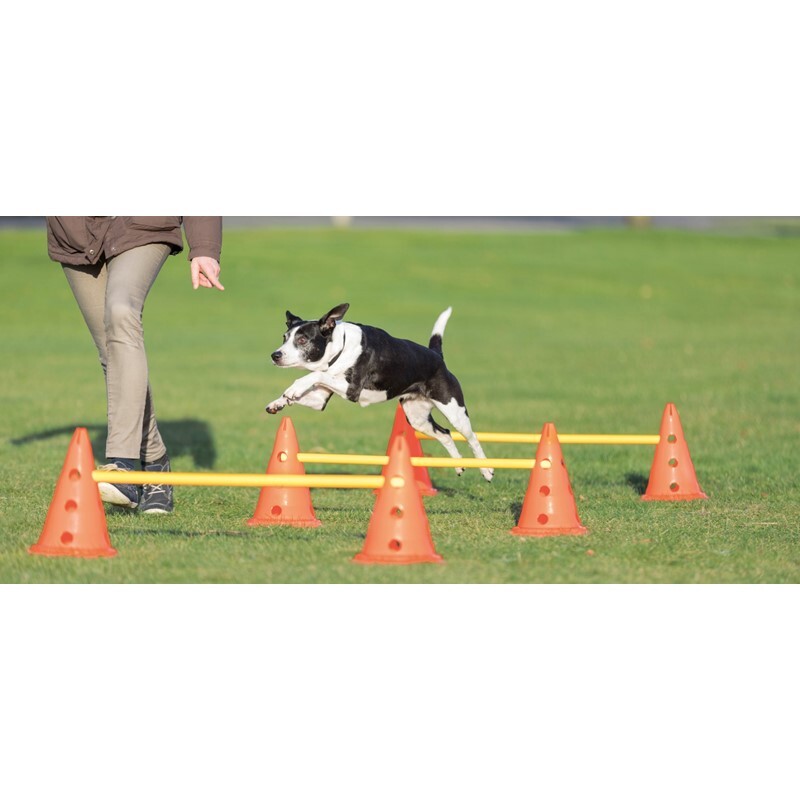 Trixie Agility & Training Trixie Dog Activity Hindernisse Ø23x30cm