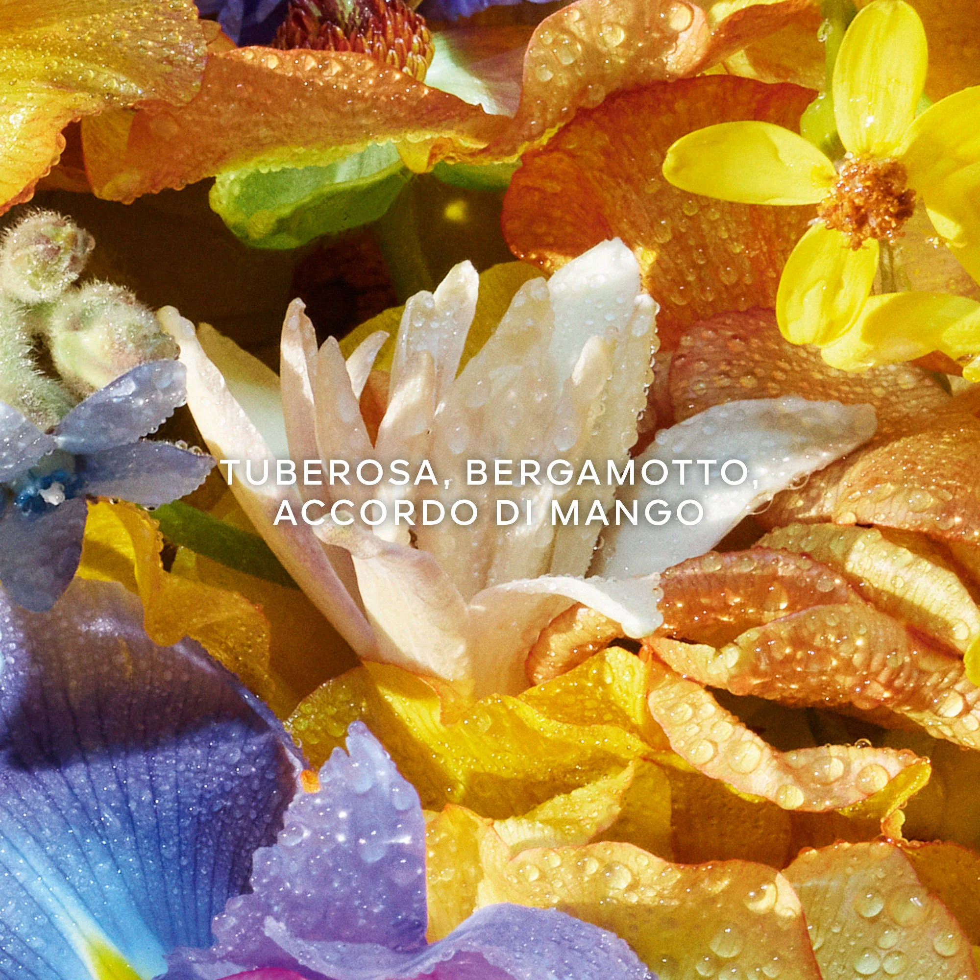 Aqua Allegoria Florabloom - Eau de Toilette