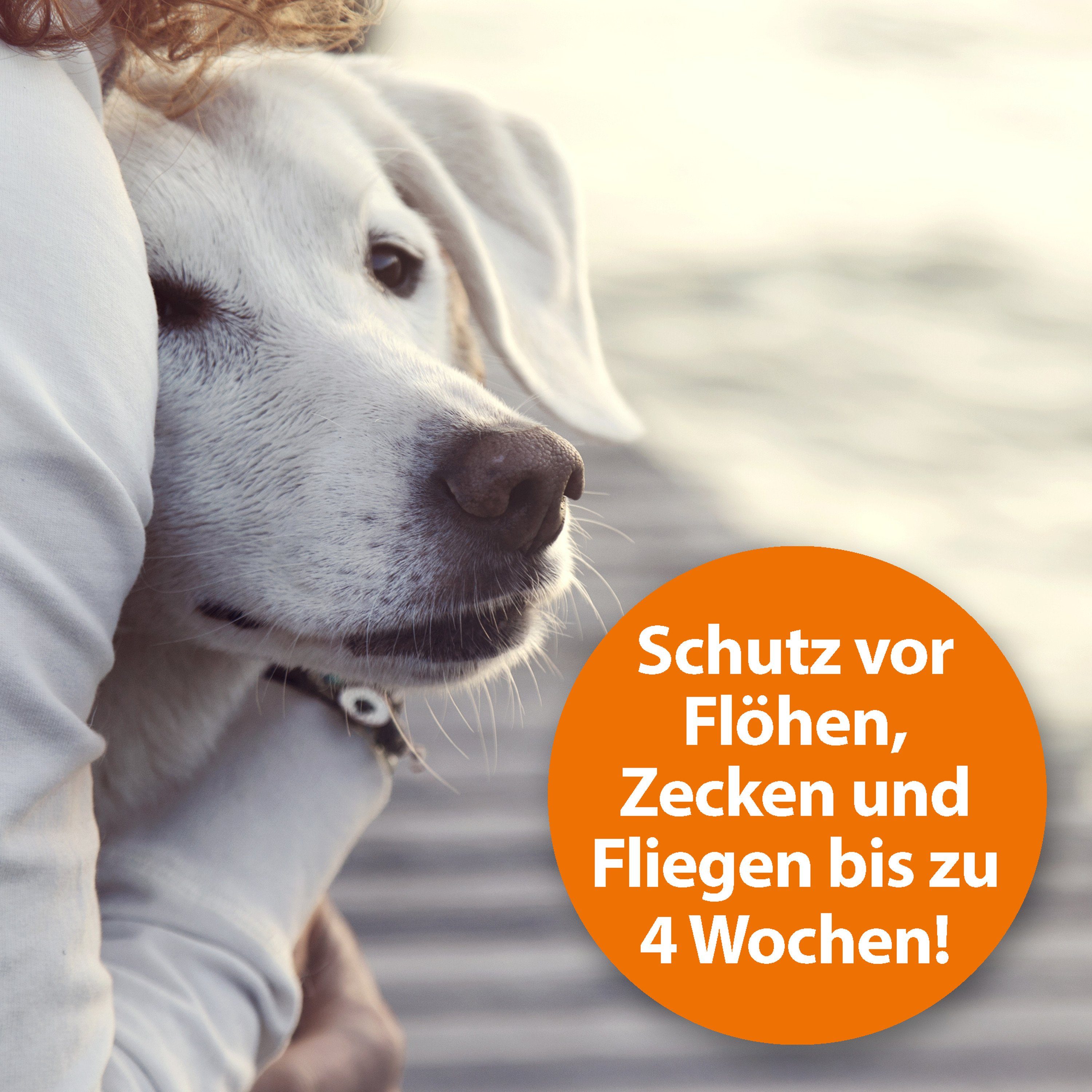 Ardap Insektenspray ARDAP® Flohspray zur Anwendung am Tier 250ml