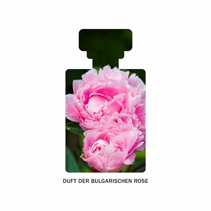 Antioxidant-Rich Gentle Toner