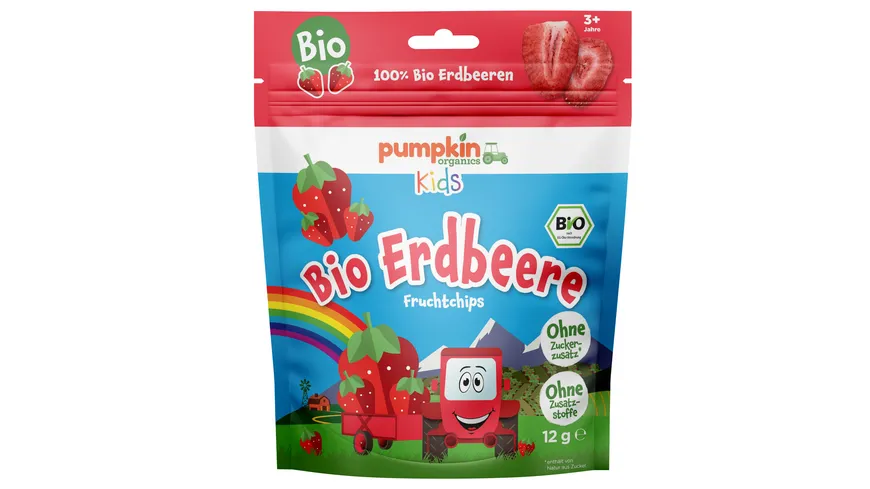 pumpkin organics Bio Erdbeere Fruchtchips 12 g