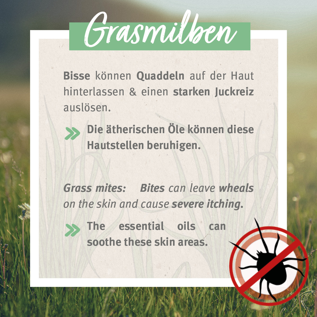 Aniforte Floh- & Zeckenmittel Aniforte Grasmilben-EX Spray für Hunde 500ml