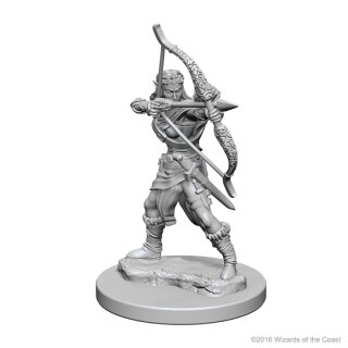 Elf Female Ranger: D&D Nolzurs Marvelous Unpainted Minis