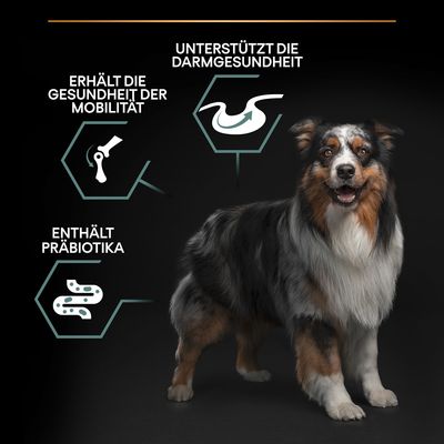 PURINA PRO PLAN Medium Adult Lamm & Reis Sensitive Digestion