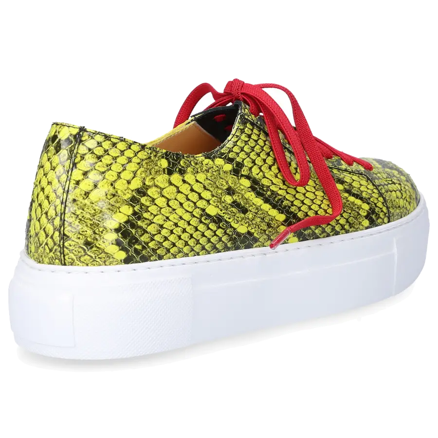 Truman's - Sneaker low 9121 Kalbsleder Print grün - grün
