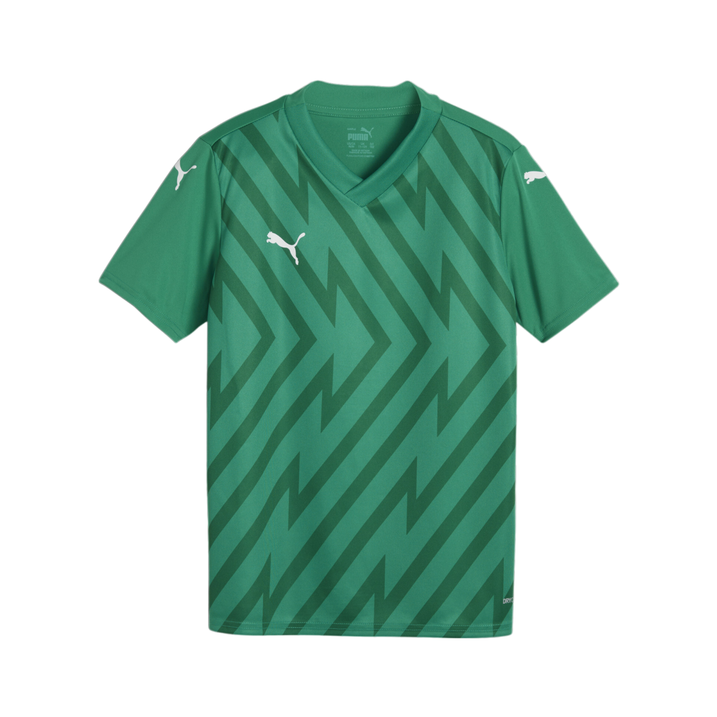 PUMA teamGLORY Trikot Kids Grün Weiss Grün F05