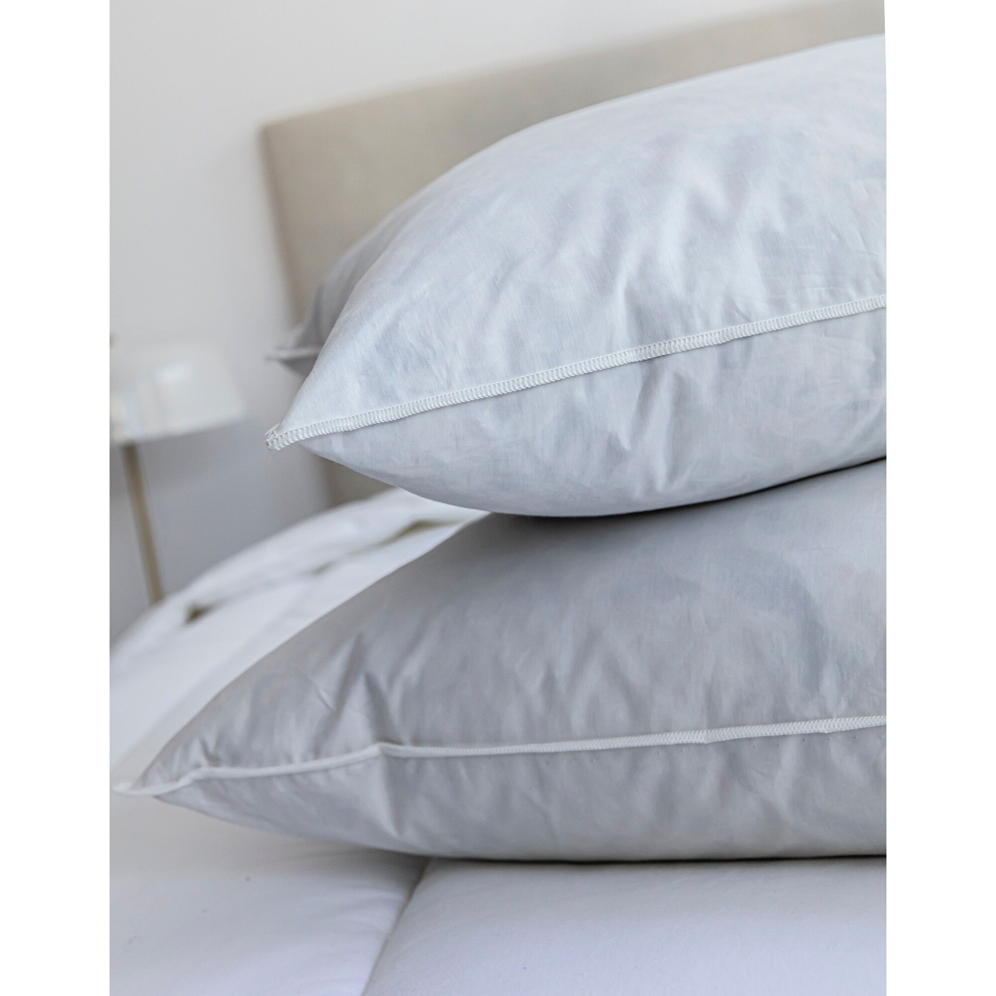 Oreiller plumes en lot de 2