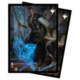 UP - Sleeves Standard Magic: The Gathering - Adventures in the Forgotten Realms V2 (100)
