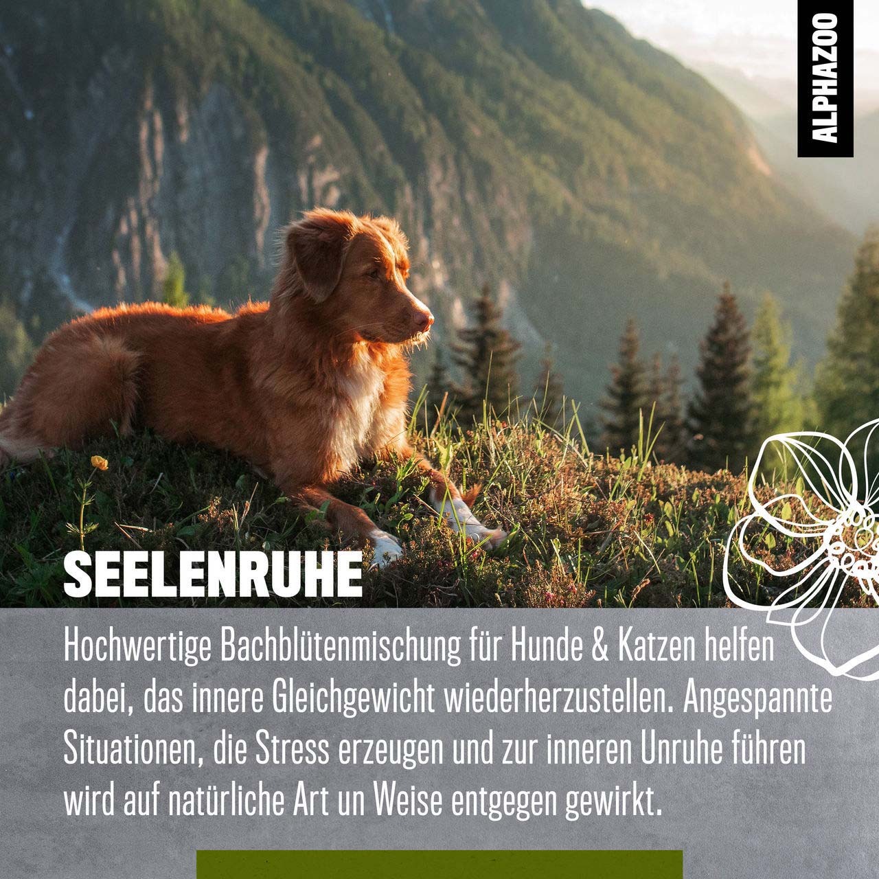 ALPHAZOO Ergänzungsfutter & Aufzucht ALPHAZOO Seelenruhe Bachblüten, Globuli für Hunde und Katzen