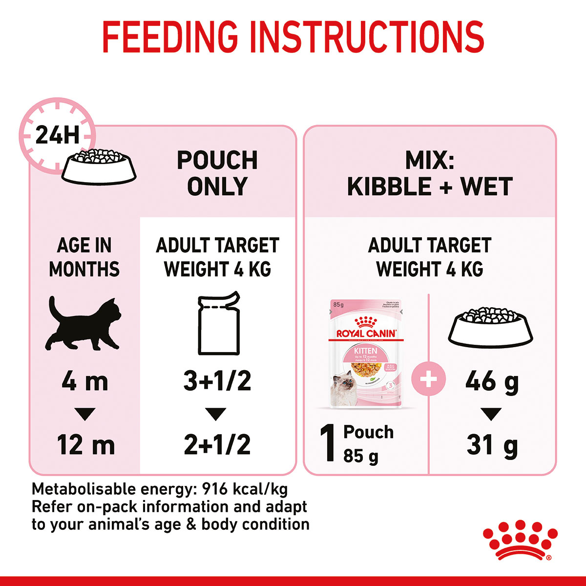 ROYAL CANIN KITTEN Nassfutter in Gelee für Kätzchen