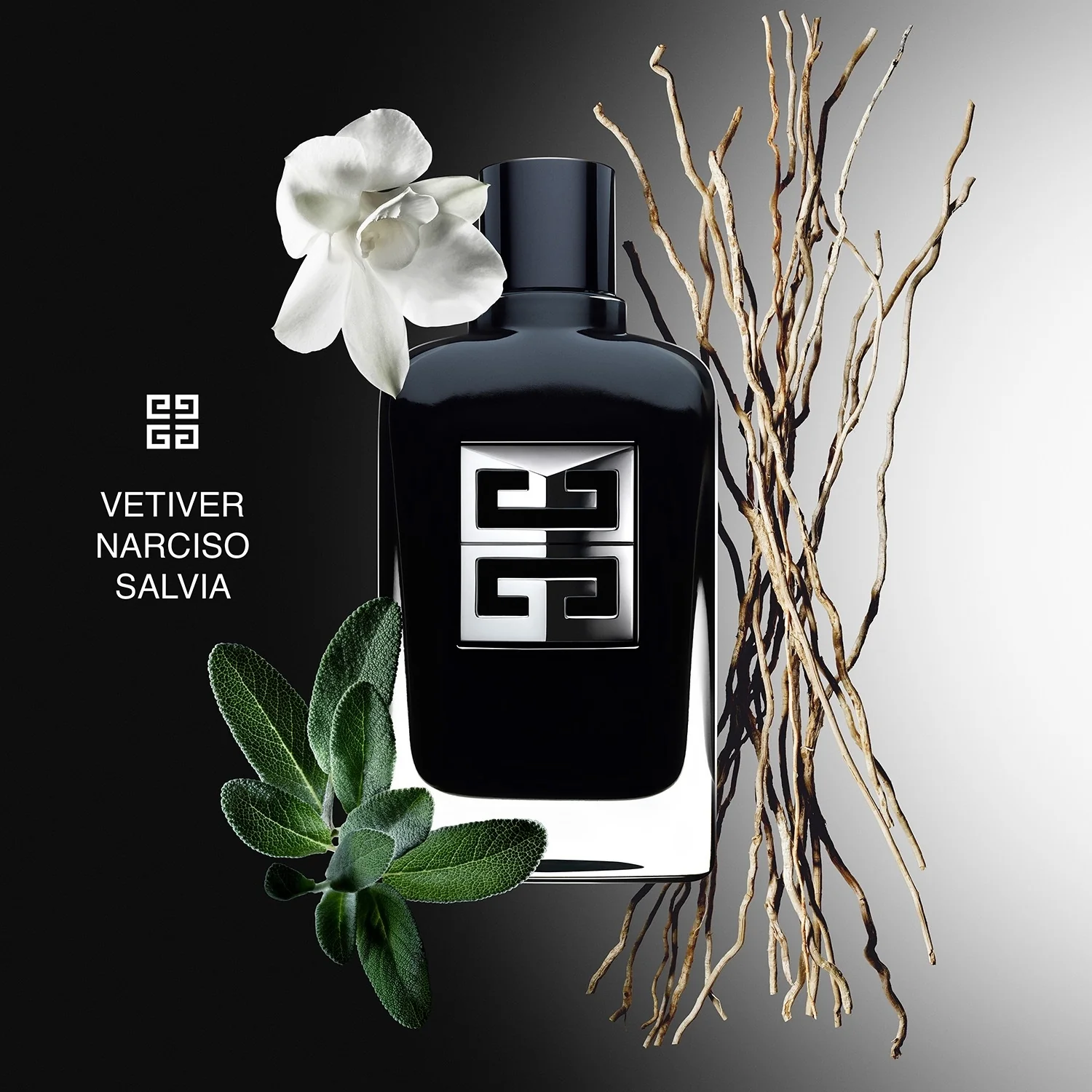 Caballero Sociedad de Caballeros - Eau de Parfum
