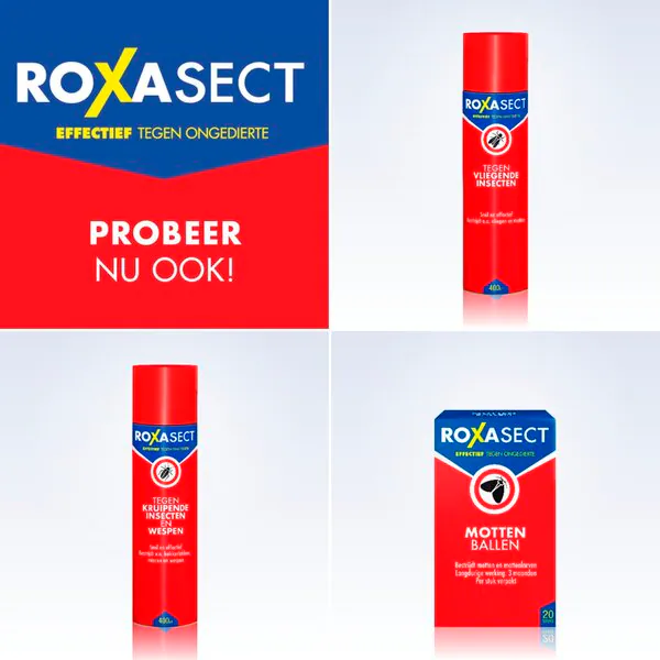 Roxasect-hopeakalaansa 2 kpl