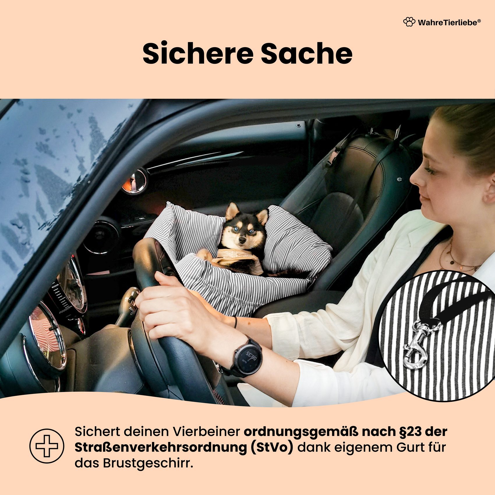 Wahre Tierliebe Hunde-Transportbox Hunde Autositz inkl. Sicherheitsgurt, Verschiedene Größen, Verschiedene Farben