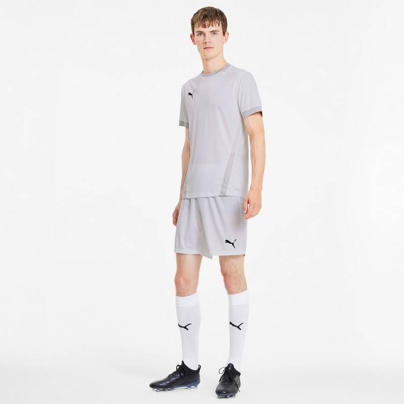 PUMA teamGOAL 23 Funktionsshirt Herren