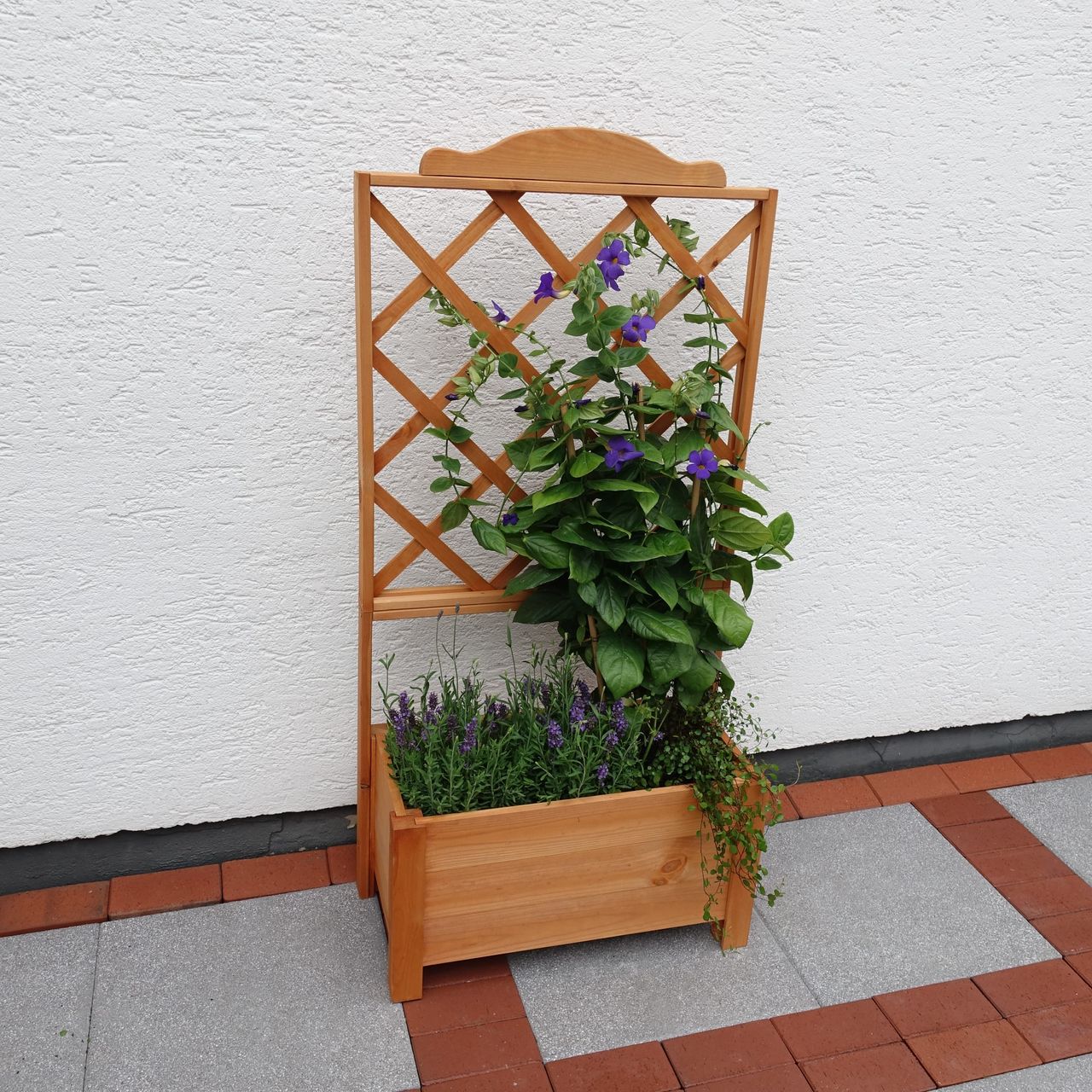 PROMEX Promadino Rankkasten Botanica 69x140 cm