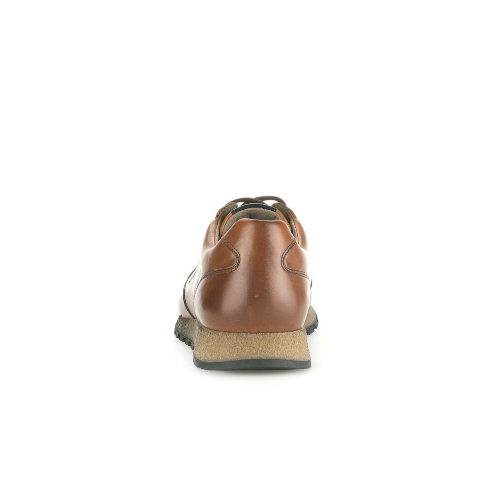 Pius Gabor PG0496 Sneaker low braun