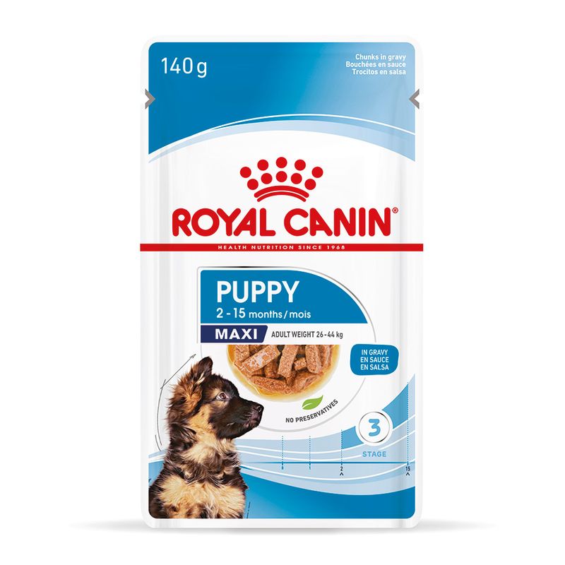 Royal Canin Maxi Puppy in Soße